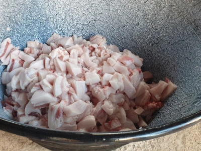 Svinjokolja na OPG Rastija