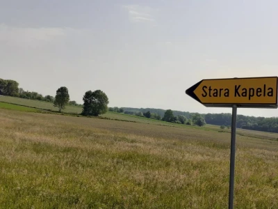 Svjetski rezultat hrvatskog uzgoja simentalca