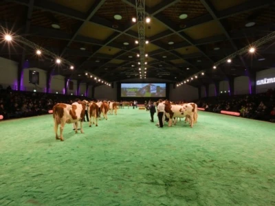 Swiss Expo
