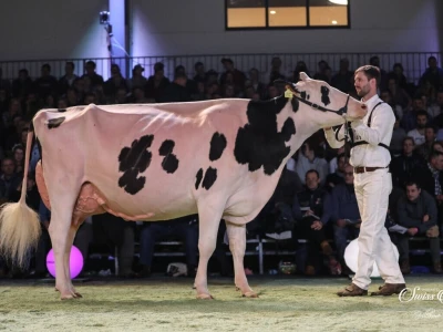 Swiss Expo