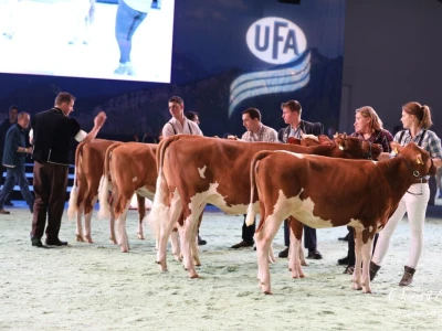 Swiss Expo