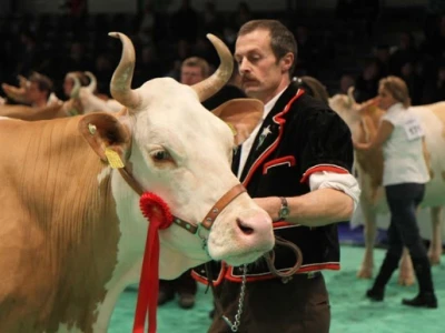 Swiss Expo