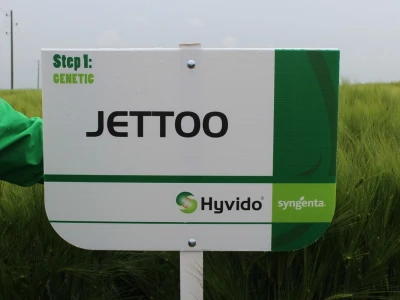 Jetto hibrid