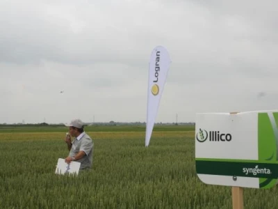 Syngenta