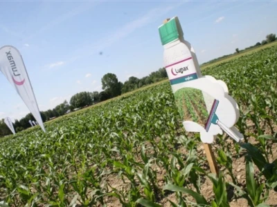 Syngenta Centralni dani polja 2014.