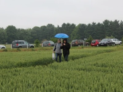 Syngenta HyVido zaradionica!