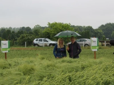 Syngenta HyVido zaradionica!
