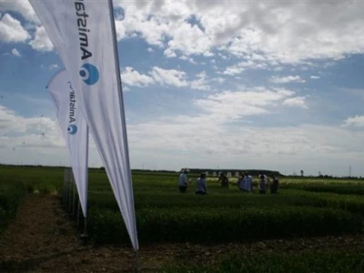 Održana prva radionica u polju - Syngenta