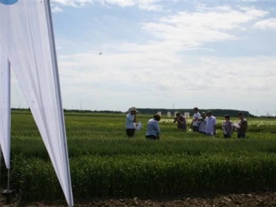 Održana prva radionica u polju - Syngenta