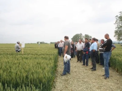 Syngenta info