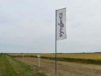Syngenta lokalni dan polja u Krndiji