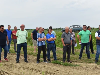 Syngenta lokalni dan polja u Krndiji