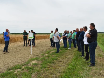 Syngenta lokalni dan polja u Krndiji