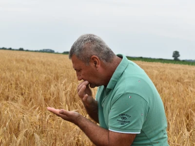 Syngenta lokalni dan polja u Krndiji