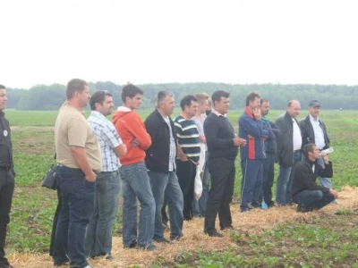 Syngenta na polju