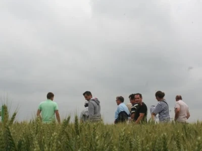 Syngenta