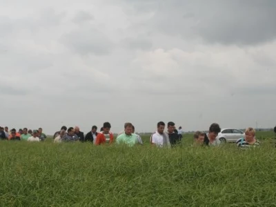 Syngenta info