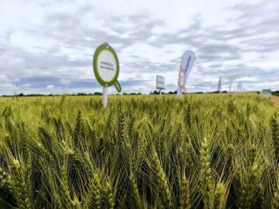 Syngentin centralni dan polja