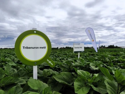 Syngentin centralni dan polja
