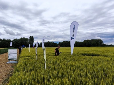Syngentin centralni dan polja