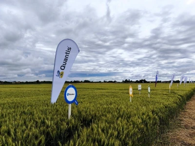 Syngentin centralni dan polja