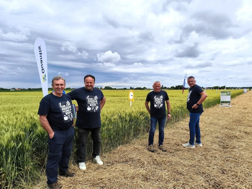 syngenta