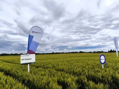 Syngentin centralni dan polja