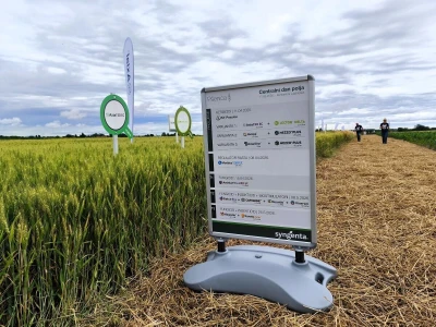 Syngentin centralni dan polja