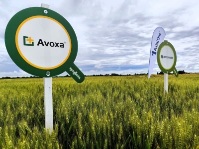 Syngentin centralni dan polja