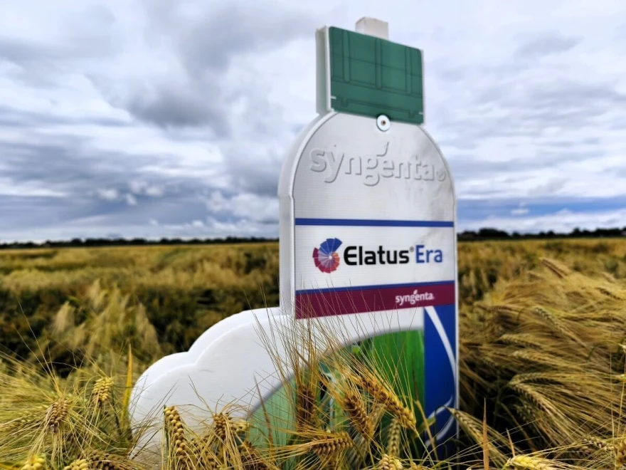 syngenta