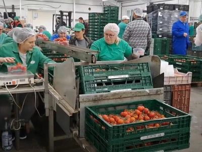 Szentesi paprike i rajčice ponos su Mađarske
