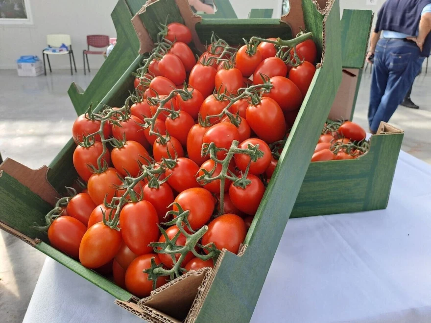 DG AGRI