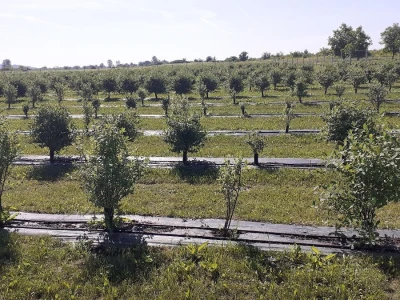 Tematska sjednica Odbora za poljoprivredu