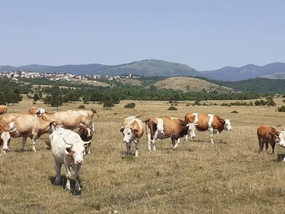 Tematska sjednica Odbora za poljoprivredu