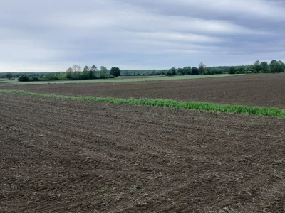 Tematska sjednica Odbora za poljoprivredu
