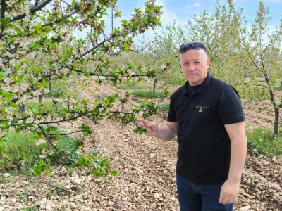 Terra Marascae