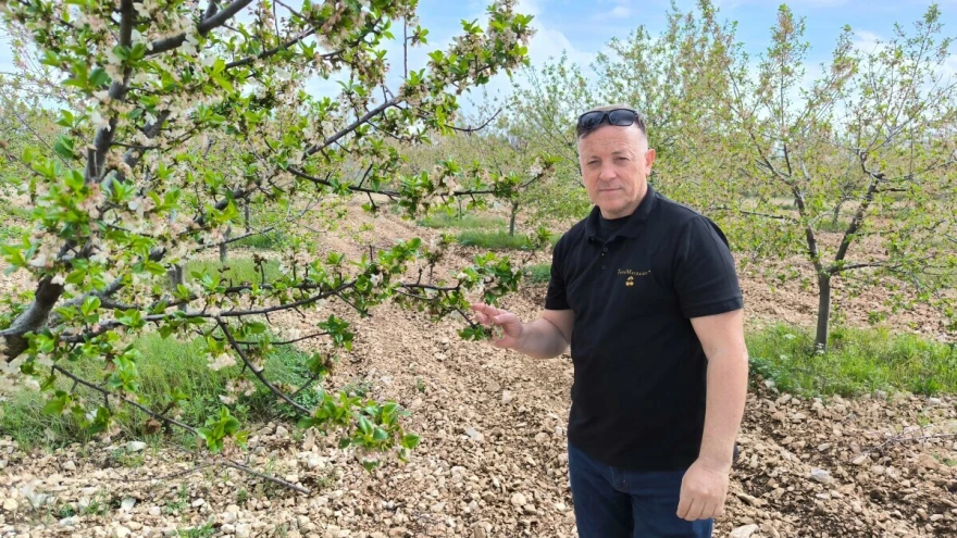 ZPP vi&scaron;nja Rubić