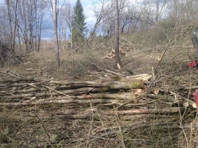 Terra Pomarium obitelji Uremović