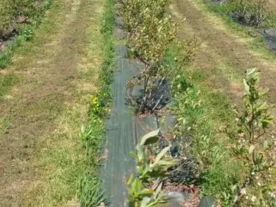 Teta Beta