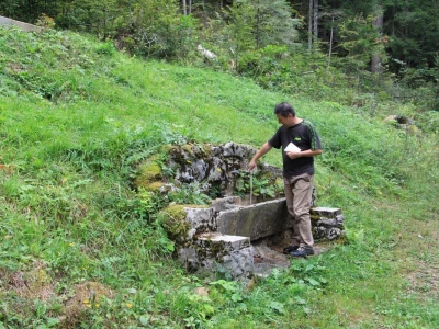 Tetrijeb gluhan