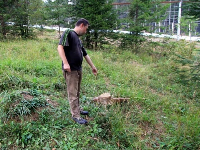 Tetrijeb gluhan
