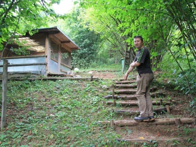 Tetrijeb gluhan