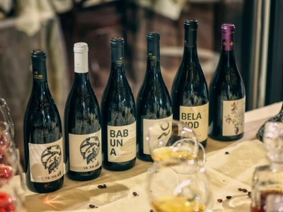 Tikveš između baštine i algoritama: Kako se velika vinarija vratila vinogradu