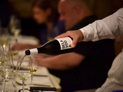 Tikveš između baštine i algoritama: Kako se velika vinarija vratila vinogradu