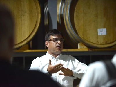 Tikveš između baštine i algoritama: Kako se velika vinarija vratila vinogradu