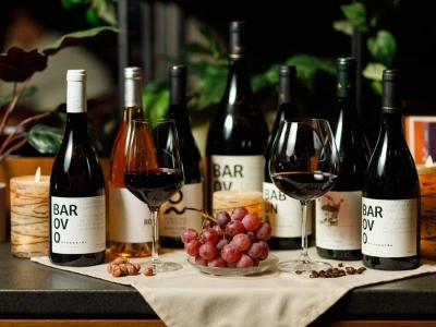 Tikveš između baštine i algoritama: Kako se velika vinarija vratila vinogradu