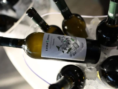 Tikveš između baštine i algoritama: Kako se velika vinarija vratila vinogradu