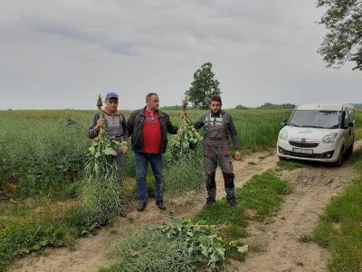 Timac Agro