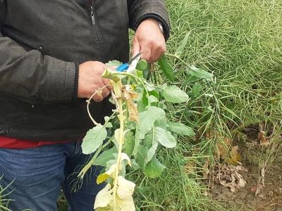 Timac Agro