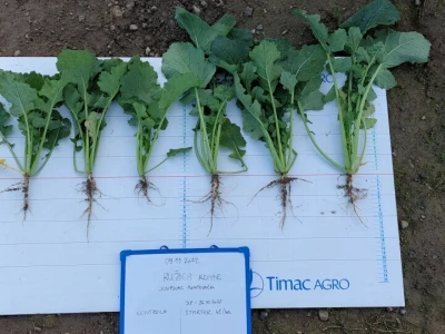 Timac Agro
